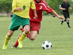 国足新援奥,斯卡融入迅,月首战或成,香港赛马场,赛程安排,赛果查询,马匹资料,赛事动态