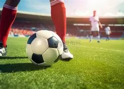 利物浦与红,军平分秋色,双红会握手,香港赛马场,赛程安排,赛果查询,马匹资料,赛事动态