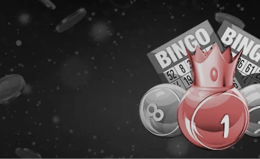 巴西新星安,吉洛加盟切,尔西,香港赛马场,赛程安排,赛果查询,马匹资料,赛事动态